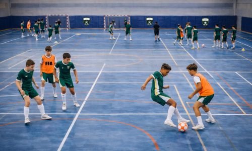 VISU GYMNASE FUTSAL FFA